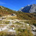 Cottage na Gozdu, Julian Alps