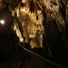 Grotta carsica di Kostanjevica, Dolenjska