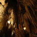 Grotta carsica di Kostanjevica, Dolenjska