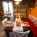 Rozina vacation house, Slovenian coast and Karst