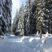 Počitniška stanovanja Piranka Pokljuka, Bled
