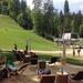 Summer sledding Straža Bled