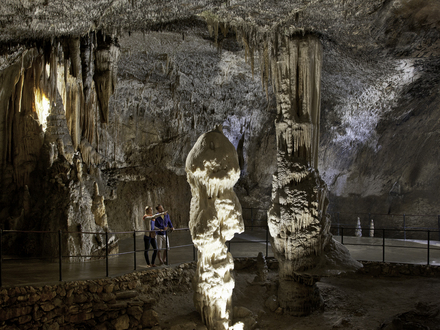The Postojna cave, Postojna