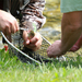 Ribiška trgovina Flyfisher's, Julijske Alpe