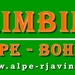 Smučarska in plezalna šola ALPE Bohinj