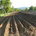 Babuder tourist farm