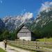 Touristischer Bauernhof Govc-Vršnik