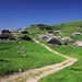 Hochebe Velika planina, Ljubljana und Umgebung