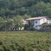 Wine cellar Jejčič, Branik