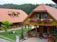 Apartmaji in wellness Korošec, Mozirje