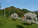 Ivankotovi tourist farm, Ilirska Bistrica