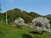 Agriturismo Ivankotovi, Ilirska Bistrica