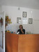 Frizerski salon Kodrček, Ljubljana z okolico