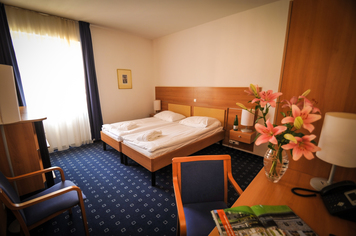 Hotel Slovenija, Rogaška Slatina